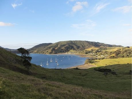 An outdoor classroom section at Whangarei Heads School in New Zealand, featuring natural and engaging learning spaces