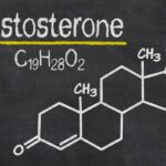 Close-up of a healthcare provider explaining hormone functions with a testosterone molecule model, emphasizing visual learning for patient education.