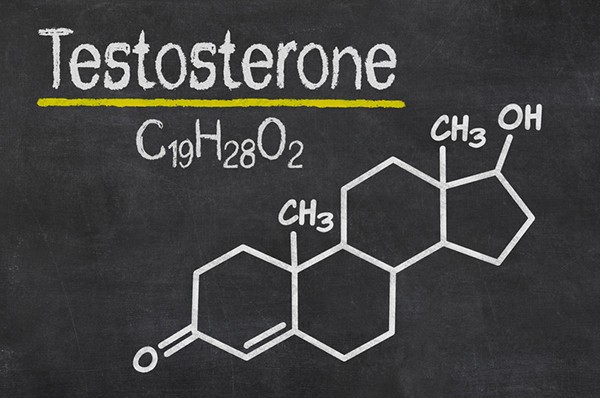 Close-up of a healthcare provider explaining hormone functions with a testosterone molecule model, emphasizing visual learning for patient education.