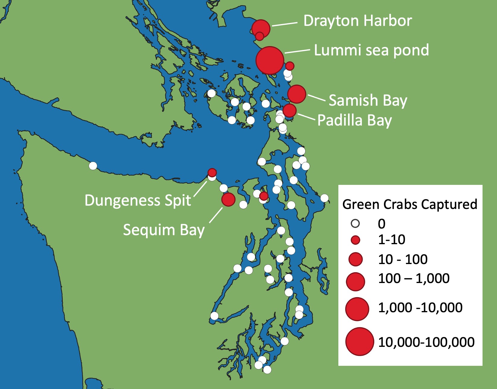 What Does WSG Mean in the Fight Against European Green Crab Invasion in the Salish Sea?