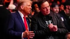 Donald Trump with Elon Musk at a UFC event, discussing potential collaborations during the presidential transition period.