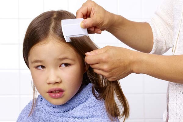 Close-up of straight hair, illustrating a common hair type where head lice can be identified.