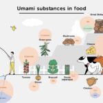 Umami Substances