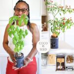 Woman holding a basil plant, illustrating the joy of gardening and plant hardiness zone awareness for successful home gardening.