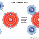 Diagram illustrating a polar covalent bond in a water molecule, showing the unequal sharing of electrons between oxygen and hydrogen atoms.