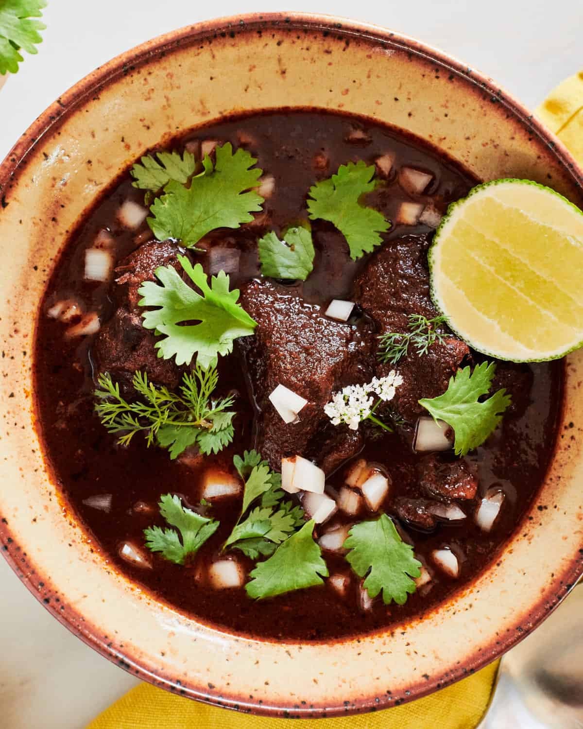 Bowl of Beef Birria Soup with toppings