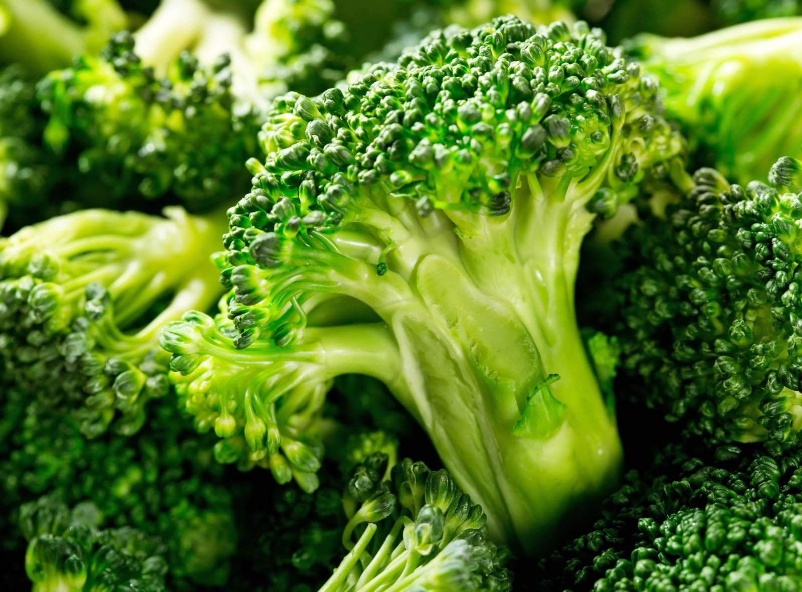 broccoli