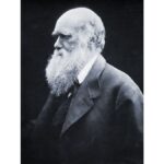 Charles Darwin in a distinguished portrait, representing his era's understanding and later evolution of heredity concepts.