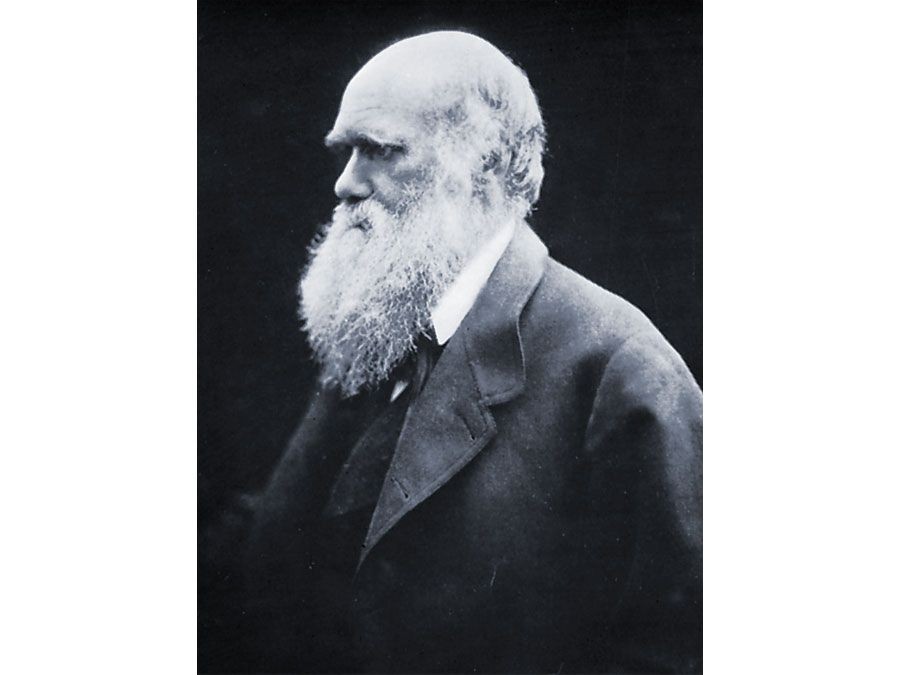 Charles Darwin in a distinguished portrait, representing his era's understanding and later evolution of heredity concepts.