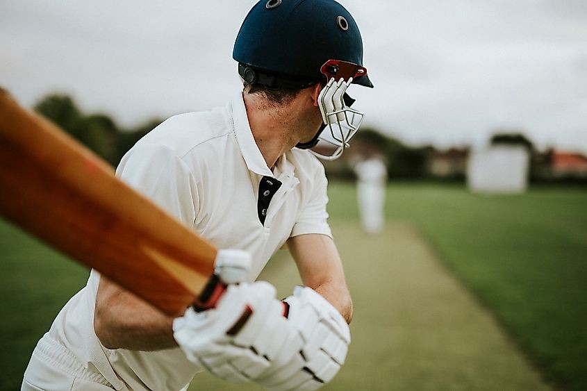 Cricket players in action during a match