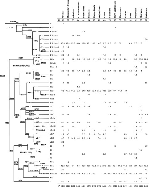 Geographic location of the studied samples