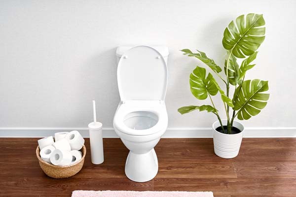 Clean white toilet in a bathroom setting, symbolizing a place for health observation related to stool color changes.