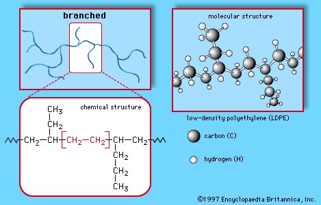 Branched low-density polyethylene (LDPE) structure