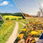 A vibrant collage showcasing the four seasons in a countryside landscape, divided by dynamic zigzagging white lines, symbolizing the transition and distinct characteristics of each season