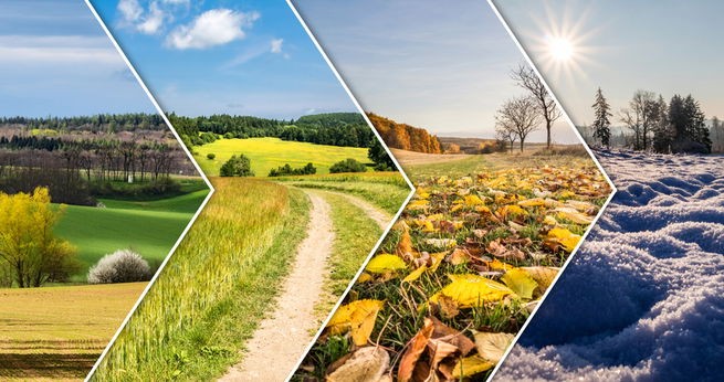 A vibrant collage showcasing the four seasons in a countryside landscape, divided by dynamic zigzagging white lines, symbolizing the transition and distinct characteristics of each season