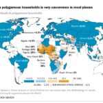 Global map illustrating the low percentage of polygamous households worldwide, highlighting regions where polygamy is uncommon