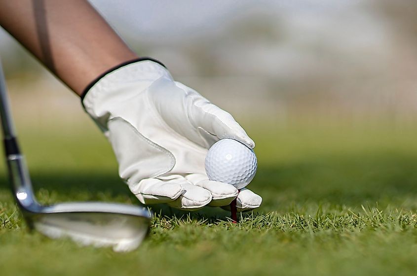 A golf ball being placed on a tee on a golf course