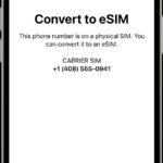 iPhone settings showing options to convert to eSIM under the Cellular menu