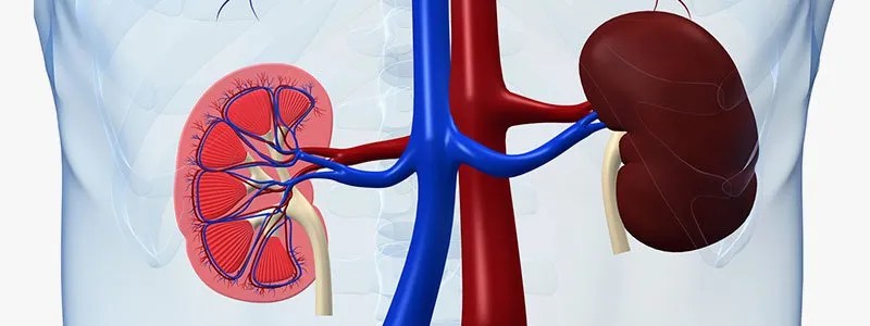 kidney disease