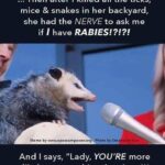 A meme of an opossum being interviewed with the caption: Then after I killed all the ticks, mice and snakes in her backyard, she had the nerve to ask me if I have rabies?!?!