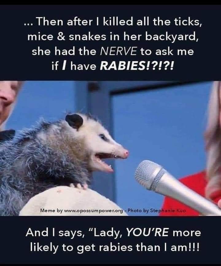 A meme of an opossum being interviewed with the caption: Then after I killed all the ticks, mice and snakes in her backyard, she had the nerve to ask me if I have rabies?!?!