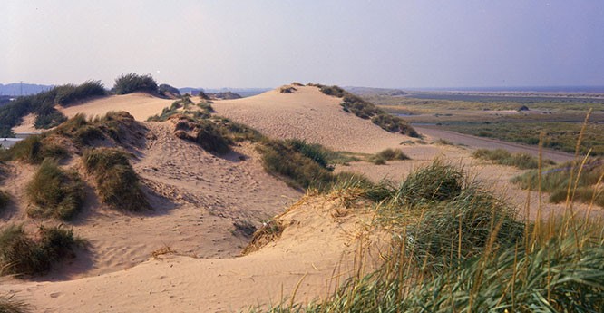 Sand dunes at Prestatyn, North Wales