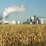 Corn ethanol production plant in South Dakota utilizing fermentation, showcasing industrial biofuel production.