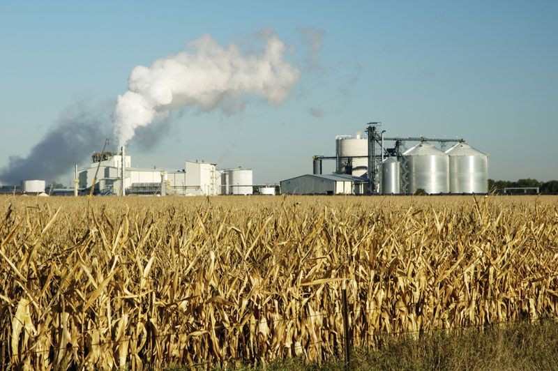 Corn ethanol production plant in South Dakota utilizing fermentation, showcasing industrial biofuel production.