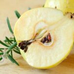 Quince cut in half with seeds next to a sprig of rosemary