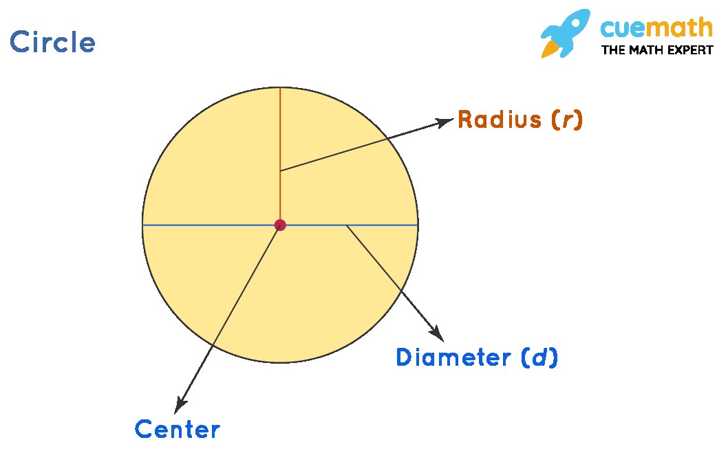 Understanding the Radius and Diameter of a Circle