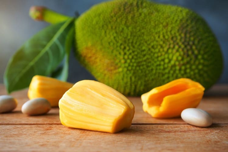 Close-up of vibrant yellow jackfruit, showcasing its size and textured skin, a large tropical fruit growing on a tree