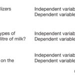 Diagram illustrating the scientific method process with examples of independent and dependent variables in experimental design.