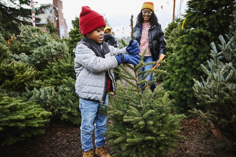 Young boy in a red jacket holding a small Christmas tree at a Christmas tree lot