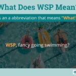 WSP meaning