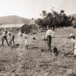 Early 20th-century Zionist pioneers reclaiming land in Palestine to establish a Jewish homeland.