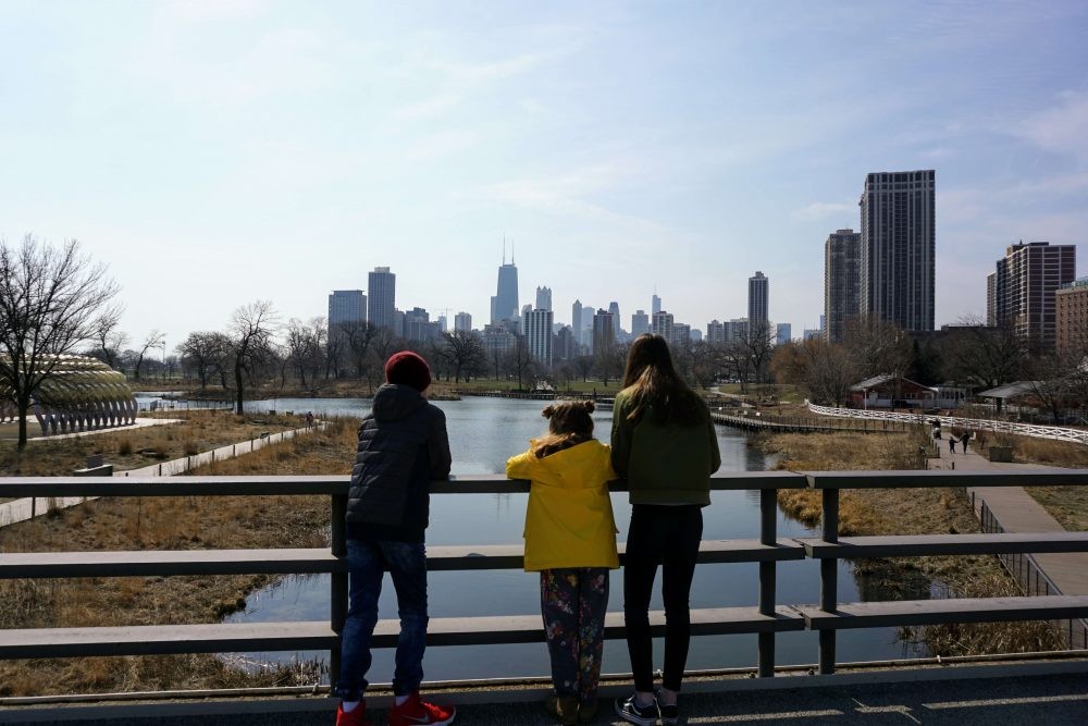 cityscape view of Chicago from Lincoln Park Zoo