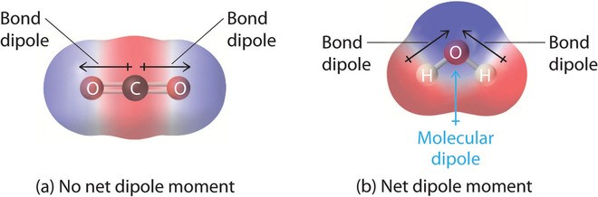 Water Molecule Structure