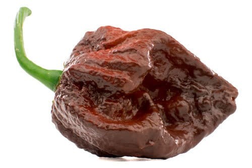 Image of the 7 Pot Douglah Pepper.