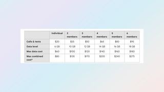 Google Fi bill protection