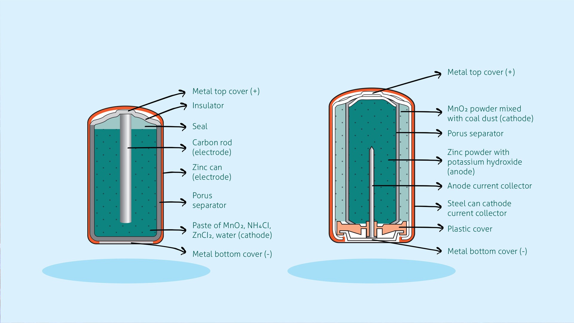 A zinc-carbon dry cell battery (left) and alkaline battery (right) are compared.