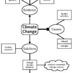 A spider map shows the relationship between a central topic and subtopics.