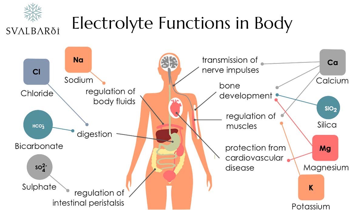 Electrolyte Functions in Body