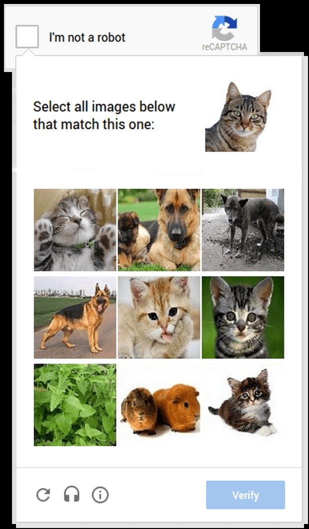 Text-based CAPTCHA example showing distorted characters