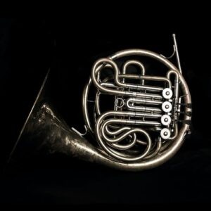 A French horn player in a concert
