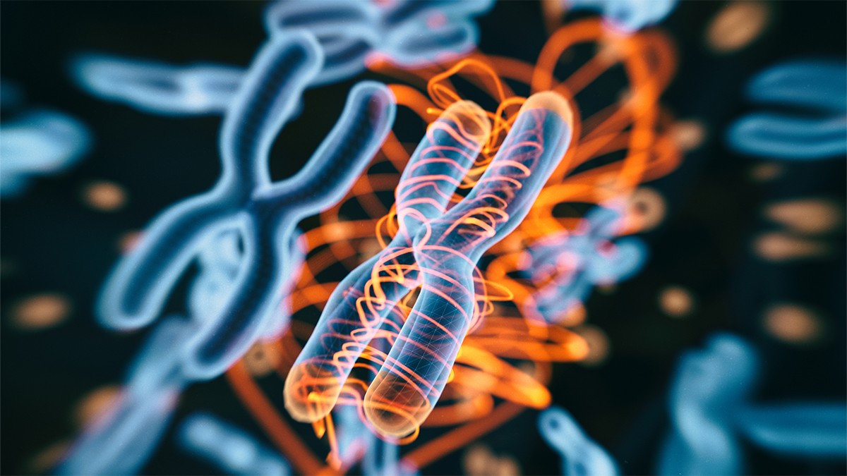 DNA strand graphic representing the FMR1 gene, illustrating the genetic basis of Fragile X Syndrome