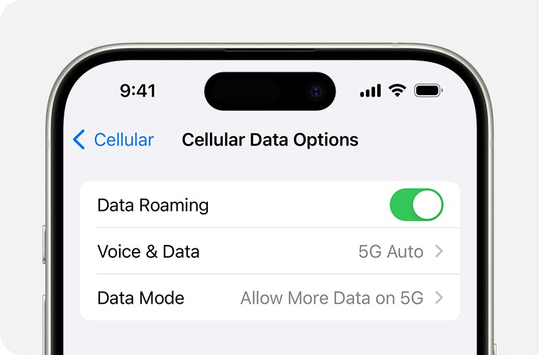iPhone screen showing cellular settings with Data Roaming enabled