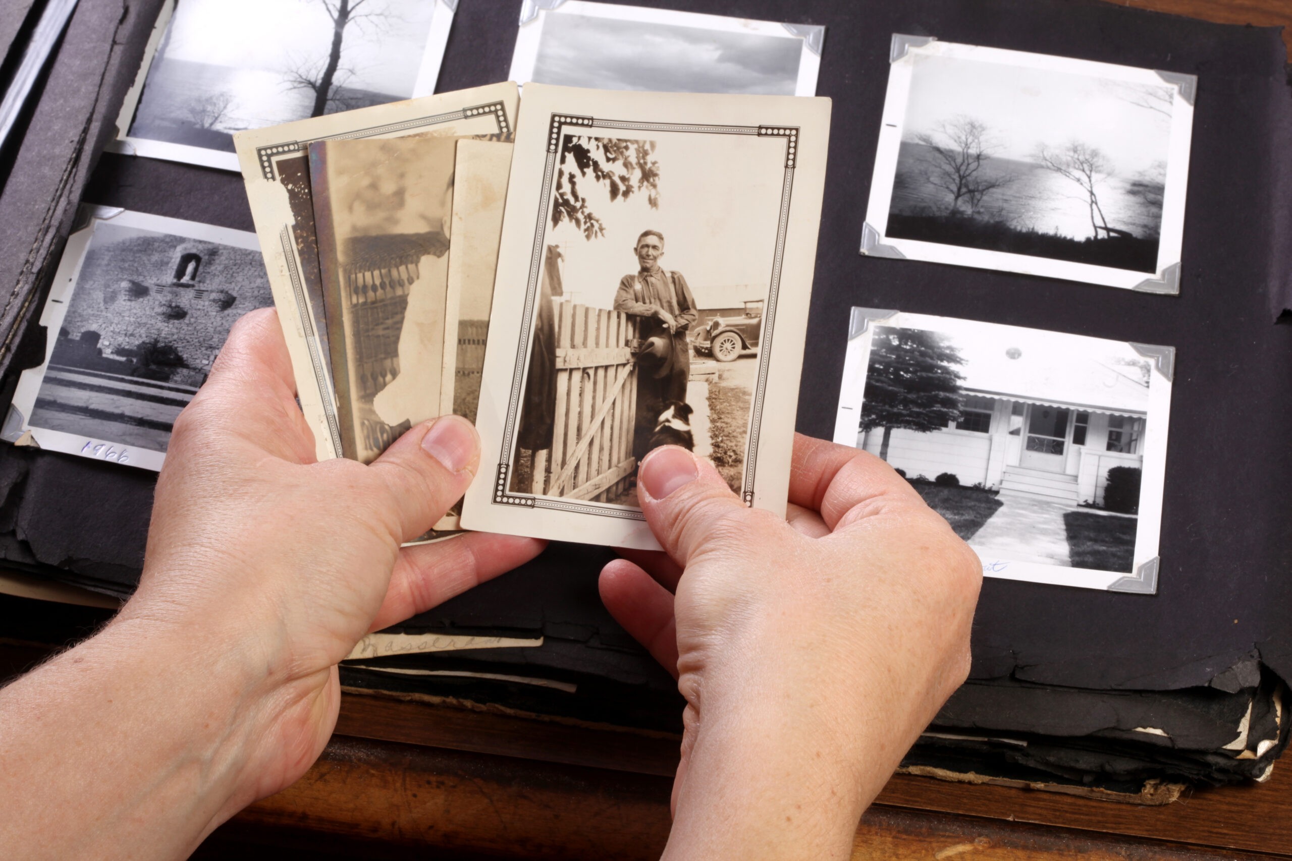 Hands holding old photographs, symbolizing the reflection on cherished memories and personal stories during a eulogy