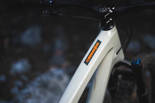 Ibis Mojo 4 Mullet Conversion