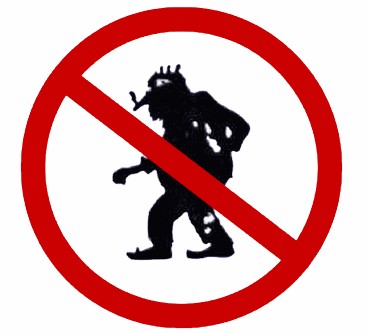 A sign with the text 'No Trolls Allowed' written on it, indicating a zero tolerance policy against online harassment