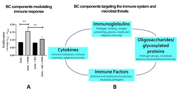 Immune Function Influence of Bovine Colostrum